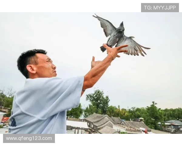 北京乒乓球队逆袭之旅揭秘：从低谷到巅峰的奋斗与荣耀