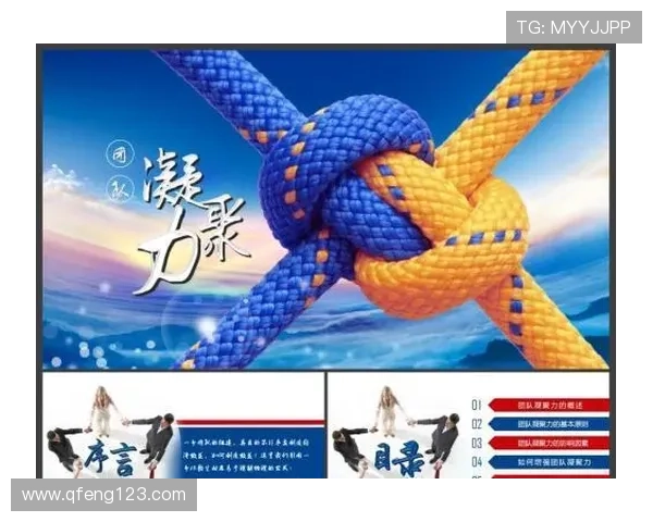 北京排球队的精神风貌与团队意识探讨：排球运动中的凝聚力与协作精神