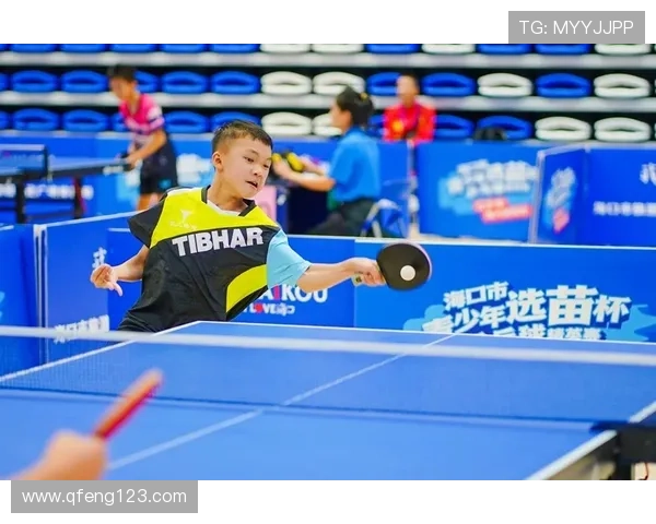 刘磊独家分享乒乓球技巧与心得助你提升球技的全面指南